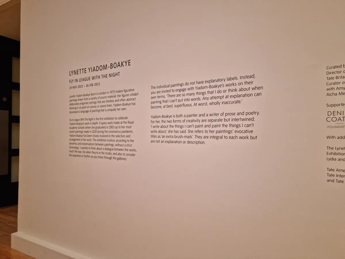 Lynette Yiadom-Boakye Gallery Image 205